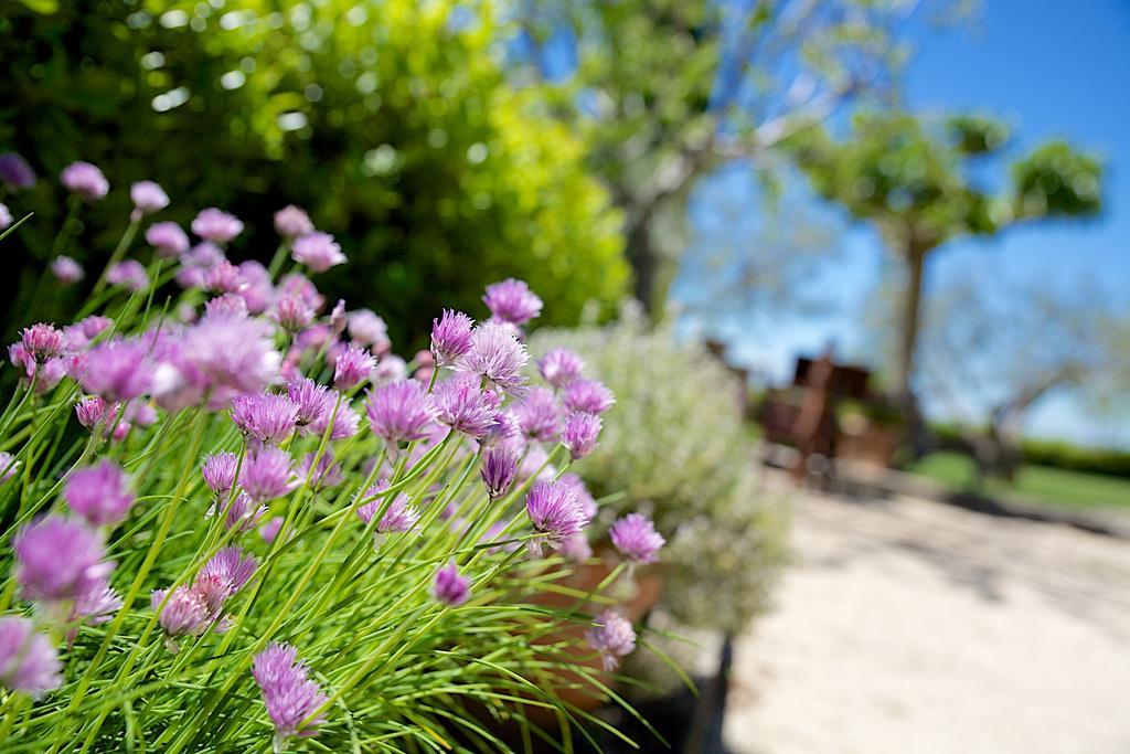 Agriturismo Le Colombe อัสซิซี ภายนอก รูปภาพ