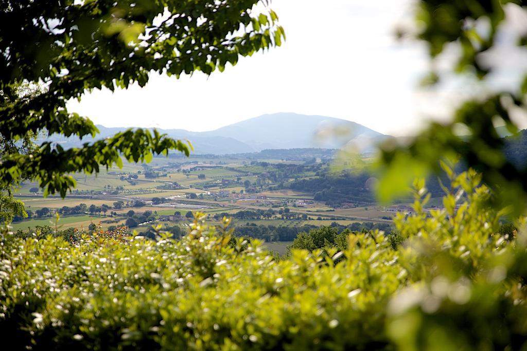 Agriturismo Le Colombe อัสซิซี ภายนอก รูปภาพ
