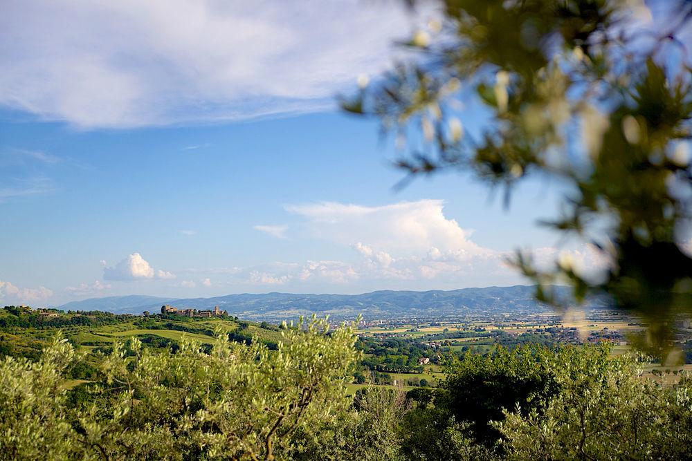 Agriturismo Le Colombe อัสซิซี ภายนอก รูปภาพ